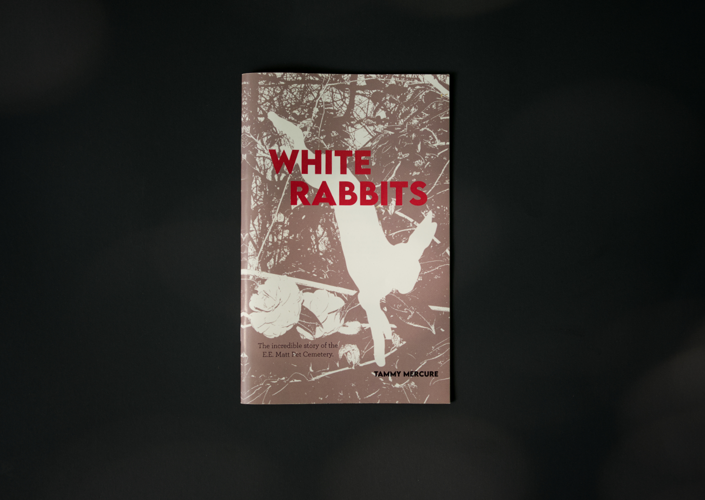 White Rabbits