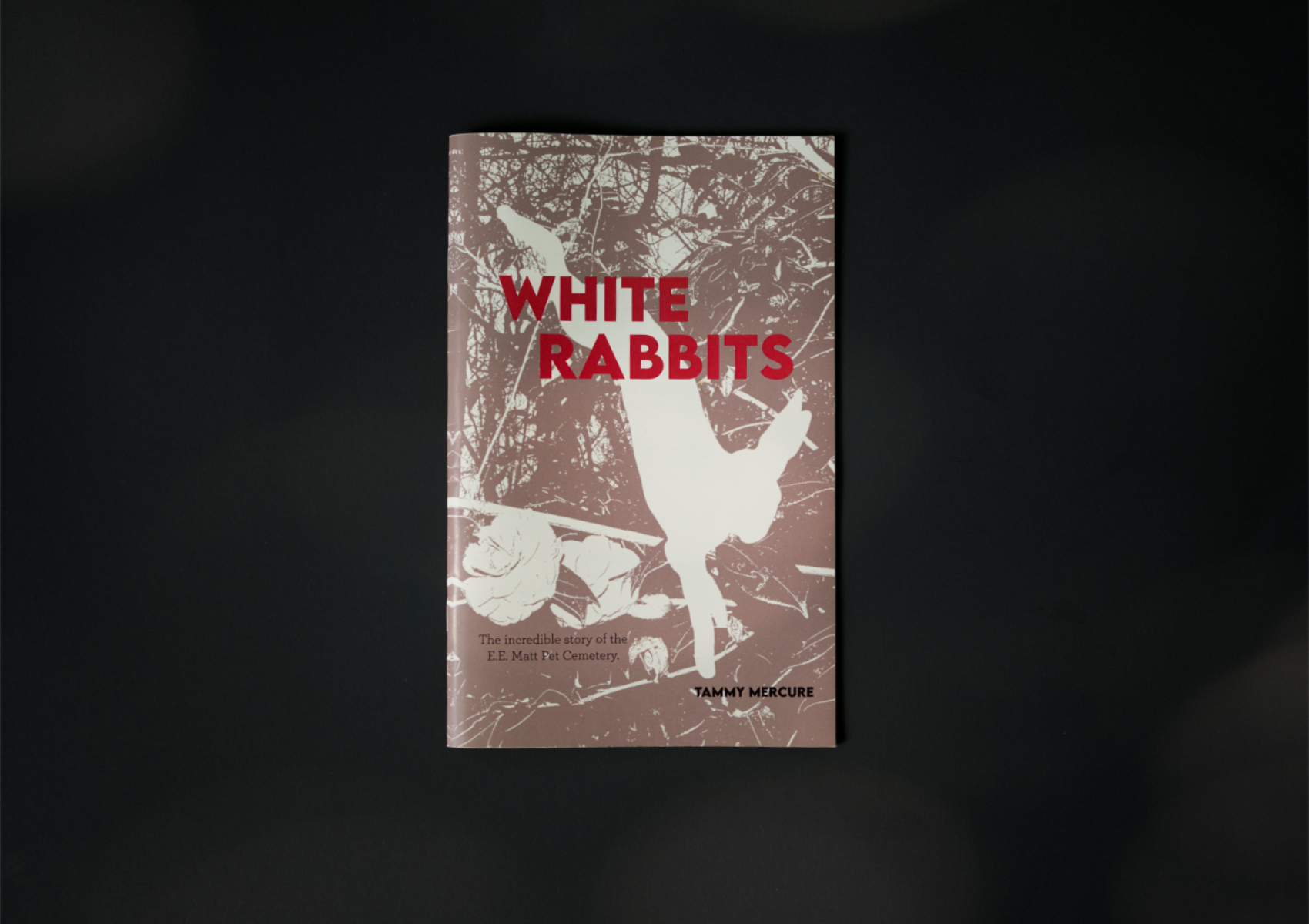 White Rabbits